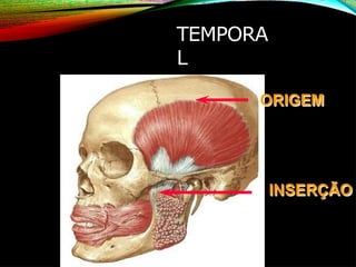 TEMPORA
L
INSERÇÃO
ORIGEM
 