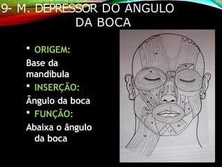 9- M. DEPRESSOR DO ÂNGULO
DA BOCA
 ORIGEM:
Base da
mandíbula
 INSERÇÃO:
Ângulo da boca
 FUNÇÃO:
Abaixa o ângulo
da boca
 