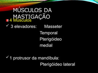 MÚSCULOS DA
MASTIGAÇÃO
4 Músculos
 3 elevadores: Masseter
Temporal
Pterigóideo
medial
1 protrusor da mandíbula:
Pterigóideo lateral
 