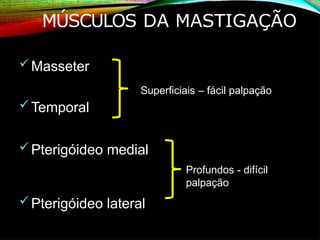 MÚSCULOS DA MASTIGAÇÃO
Masseter
Superficiais – fácil palpação
Temporal
Pterigóideo medial
Profundos - difícil
palpação
Pterigóideo lateral
 