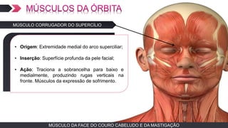 MÚSCULO DA FACE DO COURO CABELUDO E DA MASTIGAÇÃOMÚSCULO DA FACE DO COURO CABELUDO E DA MASTIGAÇÃO
MÚSCULO CORRUGADOR DO SUPERCÍLIO
TEXTO EM ARIAL
• Origem: Extremidade medial do arco superciliar;
• Inserção: Superfície profunda da pele facial;
• Ação: Traciona a sobrancelha para baixo e
medialmente, produzindo rugas verticais na
fronte. Músculos da expressão de sofrimento.
 