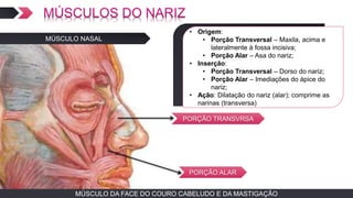 MÚSCULO DA FACE DO COURO CABELUDO E DA MASTIGAÇÃOMÚSCULO DA FACE DO COURO CABELUDO E DA MASTIGAÇÃO
MÚSCULO NASAL
TEXTO EM ARIAL
• Origem:
• Porção Transversal – Maxila, acima e
lateralmente à fossa incisiva;
• Porção Alar – Asa do nariz;
• Inserção:
• Porção Transversal – Dorso do nariz;
• Porção Alar – Imediações do ápice do
nariz;
• Ação: Dilatação do nariz (alar); comprime as
narinas (transversa)
PORÇÃO TRANSVRSA
PORÇÃO ALAR
 