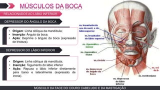 MÚSCULO DA FACE DO COURO CABELUDO E DA MASTIGAÇÃOMÚSCULO DA FACE DO COURO CABELUDO E DA MASTIGAÇÃO
DEPRESSOR DO ÂNGULO DA BOCA
TEXTO EM ARIAL
• Origem: Linha oblíqua da mandíbula;
• Inserção: Ângulo da boca;
• Ação: Deprime o ângulo da boca (expressão
de tristeza).
RELACIONADOS AO LÁBIO INFERIOR
DEPRESSOR DO LÁBIO INFERIOR
• TEXTO EM ARIAL
• Origem: Linha oblíqua da mandíbula;
• Inserção: Tegumento do lábio inferior
• Ação: Repuxa o lábio inferior diretamente
para baixo e lateralmente (expressão de
ironia).
 