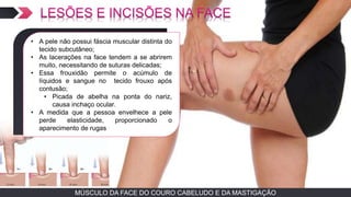 MÚSCULO DA FACE DO COURO CABELUDO E DA MASTIGAÇÃOMÚSCULO DA FACE DO COURO CABELUDO E DA MASTIGAÇÃO
TEXTO EM ARIAL
• A pele não possui fáscia muscular distinta do
tecido subcutâneo;
• As lacerações na face tendem a se abrirem
muito, necessitando de suturas delicadas;
• Essa frouxidão permite o acúmulo de
líquidos e sangue no tecido frouxo após
contusão;
• Picada de abelha na ponta do nariz,
causa inchaço ocular.
• A medida que a pessoa envelhece a pele
perde elasticidade, proporcionado o
aparecimento de rugas
 