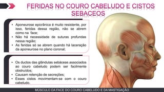 MÚSCULO DA FACE DO COURO CABELUDO E DA MASTIGAÇÃOMÚSCULO DA FACE DO COURO CABELUDO E DA MASTIGAÇÃO
TEXTO EM ARIAL
• Aponeurose epicrânica é muito resistente, por
isso, feridas dessa região, não se abrem
como na face;
• Não há necessidade de suturas profundas
nessa região;
• As feridas só se abrem quando há laceração
da aponeurose no plano coronal;
TEXTO EM ARIAL
• Os ductos das glândulas sebáceas associados
ao couro cabeludo podem ser facilmente
obstruídos;
• Causam retenção de secreções;
• Esses cistos movimentam-se com o couro
cabeludo.
 