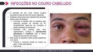 MÚSCULO DA FACE DO COURO CABELUDO E DA MASTIGAÇÃOMÚSCULO DA FACE DO COURO CABELUDO E DA MASTIGAÇÃO
TEXTO EM ARIAL
• A camada de tec. conj. frouxo (quarta
camada) é área de risco do couro cabeludo;
• Infeções nessa área são rapidamente levadas
pelas veias emissárias;
• Contudo a infeção não se espalha pelo
pescoço porque os ventres do M.
occiptofrontal fixam-se ao occipital e
parte mastoide do temporal;
• Também não avança pelo arco
zigmomático, porque a aponeurose
epicrânica é continua com a fáscia
temporal que se fixa nos arcos.
• Mas pode se espalhar pelos pelas pálpebras
e no nariz;
• Porque o músculo frontal se insere na
pele e tela subcutânea;
• Equimose.
 