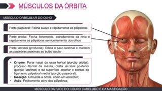 MÚSCULO DA FACE DO COURO CABELUDO E DA MASTIGAÇÃO
MÚSCULO ORBICULAR DO OLHO
TEXTO EM ARIALParte palpebral: Fecha suave e rapidamente as pálpebras
TEXTO EM ARIALParte orbital: Fecha fortemente, estreitamento da rima e
rapidamente as pálpebras semicerramento dos olhos
TEXTO EM ARIAL
• Origem: Parte nasal do osso frontal (porção orbital),
processo frontal da maxila, crista lacrimal posterior
(porção lacrimal) e da superfície anterior e bordas do
ligamento palpebral medial (porção palpebral);
• Inserção: Circunda a órbita, como um esfíncter;
• Ação: Fechamento ativo das pálpebras;
TEXTO EM ARIALParte lacrimal (profunda): Dilata o saco lacrimal e mantem
as pálpebras próximas ao bulbo ocular
 