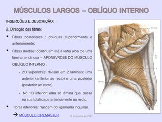 INSERÇÕES E DESCRIÇÃO:
2. Direcção das fibras:
 Fibras posteriores : oblíquas superiormente e
    anteriormente;
 Fibras médias: continuam até à linha alba de uma
    lâmina tendinosa – APONEVROSE DO MÚSCULO
    OBLÍQUO INTERNO .
        - 2/3 superiores: divisão em 2 lâminas: uma
           anterior (anterior ao recto) e uma posterior
           (posterior ao recto).
        - No 1/3 inferior: uma só lâmina que passa
           na sua totalidade anteriormente ao recto.
 Fibras inferiores: nascem do ligamento inguinal.
      MÚSCULO CREMÁSTER                  19 de Junho de 2012
 