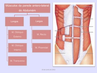 Músculos da parede antero-lateral
         do Abdomém

   Longos             Largos


    M. Oblíquo
                       M. Recto
     Externo

    M. Oblíquo
                      M. Piramidal
     Interno


   M. Transverso

                            19 de Junho de 2012
 