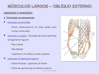 INSERÇÕES E DESCRIÇÃO:
2. Terminação da aponeverose:
 Inserções na linha Alba
      - Fibras entrecuzam-se na linha média para
         formar a linha alba.
 Inserções na púbis – formação do anel superficial
    do ligamento inguinal
      - Pilar Lateral
      - Pilar Medial
      - Ligamento circunflexo ou pilar posterior
 Inserções no ligamento inguinal
      - Fibras Próprias : ligamento de Henle.
      - Fibras da aponevrose do oblíquo externo.
                                     19 de Junho de 2012
 