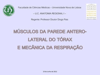 Faculdade de Ciências Médicas – Universidade Nova de Lisboa
              – U.C. ANATOMIA REGIONAL I –
            Regente: Professor Doutor Diogo Pais




                       19 de Junho de 2012
 