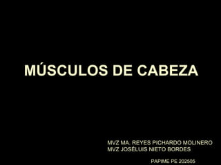 MÚSCULOS DE CABEZA MVZ MA. REYES PICHARDO MOLINERO MVZ JOSÉLUIS NIETO BORDES PAPIME PE 202505 