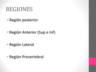 REGIONES
• Región posterior
• Región Anterior (Sup e Inf)
• Región Lateral

• Región Prevertebral

 