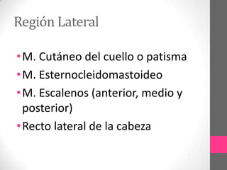 Región Lateral
• M. Cutáneo del cuello o patisma
• M. Esternocleidomastoideo
• M. Escalenos (anterior, medio y
posterior)
• Recto lateral de la cabeza

 