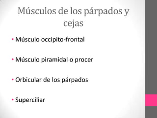Músculos de los párpados y
cejas
• Músculo occipito-frontal
• Músculo piramidal o procer
• Orbicular de los párpados
• Superciliar

 