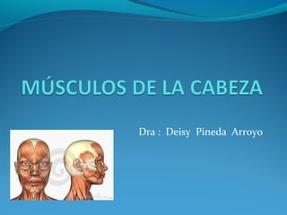 Dra : Deisy Pineda Arroyo
 