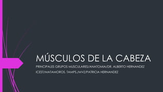 MÚSCULOS DE LA CABEZA
PRINCIPALES GRUPOS MUSCULARES/ANATOMIA/DR. ALBERTO HERNANDEZ
ICEST/MATAMOROS. TAMPS./MVZ/PATRICIA HERNANDEZ
 
