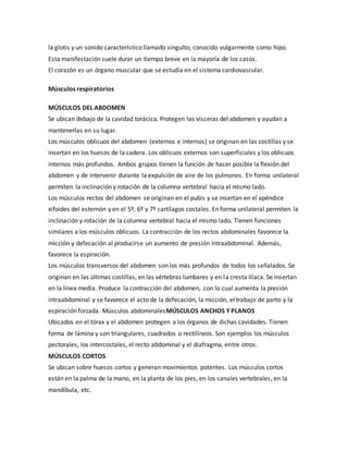 la glotis y un sonido característico llamado singulto, conocido vulgarmente como hipo.
Esta manifestación suele durar un tiempo breve en la mayoría de los casos.
El corazón es un órgano muscular que se estudia en el sistema cardiovascular.
Músculos respiratorios
MÚSCULOS DEL ABDOMEN
Se ubican debajo de la cavidad torácica. Protegen las vísceras del abdomen y ayudan a
mantenerlas en su lugar.
Los músculos oblicuos del abdomen (externos e internos) se originan en las costillas y se
insertan en los huesos de la cadera. Los oblicuos externos son superficiales y los oblicuos
internos más profundos. Ambos grupos tienen la función de hacer posible la flexión del
abdomen y de intervenir durante la expulsión de aire de los pulmones. En forma unilateral
permiten la inclinación y rotación de la columna vertebral hacia el mismo lado.
Los músculos rectos del abdomen se originan en el pubis y se insertan en el apéndice
xifoides del esternón y en el 5º, 6º y 7º cartílagos costales. En forma unilateral permiten la
inclinación y rotación de la columna vertebral hacia el mismo lado. Tienen funciones
similares a los músculos oblicuos. La contracción de los rectos abdominales favorece la
micción y defecación al producirse un aumento de presión intraabdominal. Además,
favorece la espiración.
Los músculos transversos del abdomen son los más profundos de todos los señalados. Se
originan en las últimas costillas, en las vértebras lumbares y en la cresta ilíaca. Se insertan
en la línea media. Produce la contracción del abdomen, con lo cual aumenta la presión
intraabdominal y se favorece el acto de la defecación, la micción, el trabajo de parto y la
espiración forzada. Músculos abdominalesMÚSCULOS ANCHOS Y PLANOS
Ubicados en el tórax y el abdomen protegen a los órganos de dichas cavidades. Tienen
forma de lámina y son triangulares, cuadrados o rectilíneos. Son ejemplos los músculos
pectorales, los intercostales, el recto abdominal y el diafragma, entre otros.
MÚSCULOS CORTOS
Se ubican sobre huesos cortos y generan movimientos potentes. Los músculos cortos
están en la palma de la mano, en la planta de los pies, en los canales vertebrales, en la
mandíbula, etc.
 