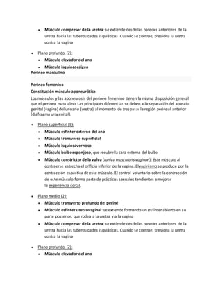  Músculo compresor de la uretra: se extiende desde las paredes anteriores de la
uretra hacia las tuberosidades isquiáticas. Cuando se contrae, presiona la uretra
contra la vagina
 Plano profundo (2):
 Músculo elevador del ano
 Músculo isquiococcígeo
Perineo masculino
Perineo femenino
Constitución músculo aponeurótica
Los músculos y las aponeurosis del perineo femenino tienen la misma disposición general
que el perineo masculino. Las principales diferencias se deben a la separación del aparato
genital (vagina) del urinario (uretra) al momento de traspasar la región perineal anterior
(diafragma urogenital).
 Plano superficial (5):
 Músculo esfínter externo del ano
 Músculo transverso superficial
 Músculo isquiocavernoso
 Músculo bulboesponjoso, que recubre la cara externa del bulbo
 Músculo constrictorde la vulva (tunica muscularis vaginae): éste músculo al
contraerse estrecha el orificio inferior de la vagina. Elvaginismo se produce por la
contracción espástica de este músculo. El control voluntario sobre la contracción
de este músculo forma parte de prácticas sexuales tendientes a mejorar
la experiencia coital.
 Plano medio (2):
 Músculo transverso profundo del periné
 Músculo esfínter uretrovaginal: se extiende formando un esfínter abierto en su
parte posterior, que rodea a la uretra y a la vagina
 Músculo compresor de la uretra: se extiende desde las paredes anteriores de la
uretra hacia las tuberosidades isquiáticas. Cuando se contrae, presiona la uretra
contra la vagina
 Plano profundo (2):
 Músculo elevador del ano
 