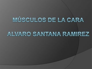 Músculos de la caraalvaro santana ramirez,[object Object]
