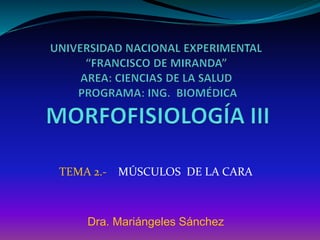 TEMA 2.- MÚSCULOS DE LA CARA 
Dra. Mariángeles Sánchez 
 