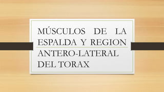 MÚSCULOS DE LA
ESPALDA Y REGION
ANTERO-LATERAL
DEL TORAX
 
