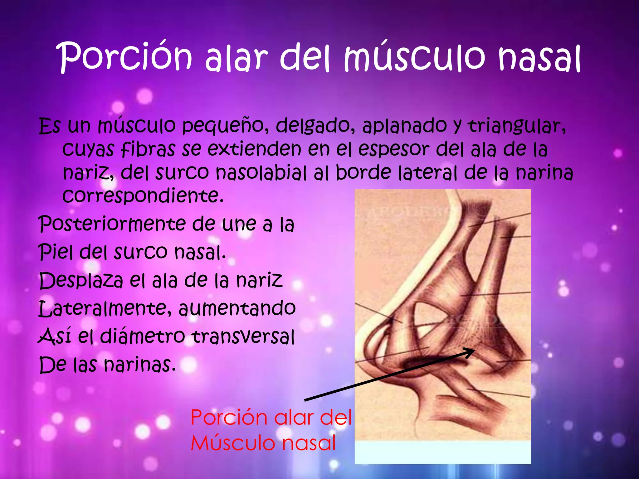 Músculos de la cara | PPTX