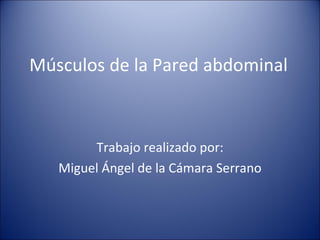 Músculos de la Pared abdominal Trabajo realizado por: Miguel Ángel de la Cámara Serrano 