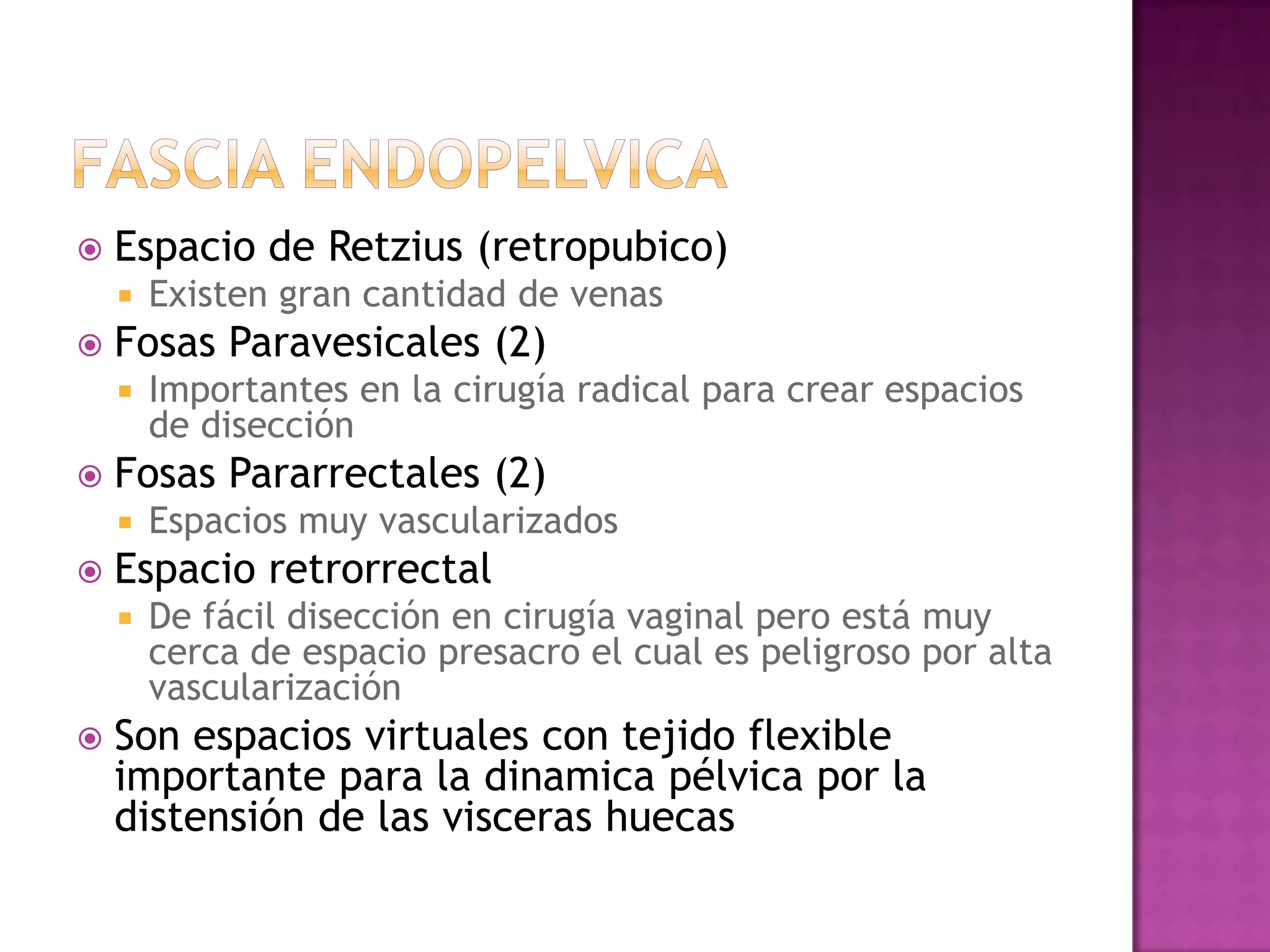 MúSculos De La Pelvis | PPTX | Surgery | Medical Health
