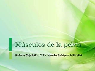 Músculos de la pelvis
Stefhany Alejo 2012-1592 y Johandry Rodríguez 2012-1356
 