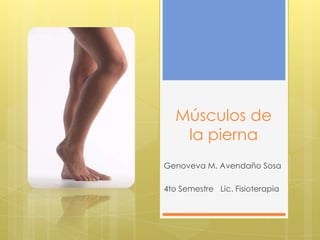 Músculos de
    la pierna
Genoveva M. Avendaño Sosa

4to Semestre Lic. Fisioterapia
 