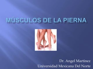 Músculos de la Pierna  Dr. Angel Martinez Universidad Mexicana Del Norte 
