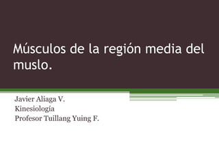 Músculos de la región media del
muslo.
Javier Aliaga V.
Kinesiología
Profesor Tuillang Yuing F.
 