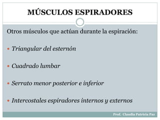 MÚSCULOS ESPIRADORES
Otros músculos que actúan durante la espiración:
 Triangular del esternón
 Cuadrado lumbar
 Serrato menor posterior e inferior
 Intercostales espiradores internos y externos
Prof. Claudia Patricia Paz
 