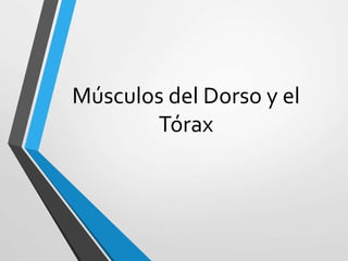 Músculos del Dorso y el
Tórax
 