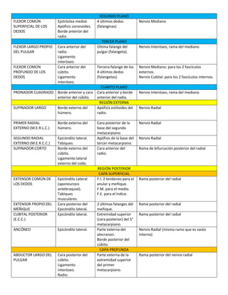 SEGUNDO PLANO
FLEXOR COMÚN
SUPERFICIAL DE LOS
DEDOS
Epitróclea medial.
Apófisis coronoides.
Borde anterior del
radio.
4 últimos dedos
(falanginas)
Nervio Mediano
TERCER PLANO
FLEXOR LARGO PROPIO
DEL PULGAR
Cara anterior del
radio.
Ligamento
interóseo.
Última falange del
pulgar (falangeta).
Nervio Interóseo, rama del mediano
FLEXOR COMÚN
PROFUNDO DE LOS
DEDOS
Cara anterior del
cúbito.
Ligamento
interóseo.
Tercera falange de los
4 últimos dedos
(falangetas).
Nervio Mediano: para los 2 fascículos
externos.
Nervio Cubital: para los 2 fascículos internos.
CUARTO PLANO
PRONADOR CUADRADO Borde anterior y cara
anterior del cúbito.
Cara anterior y borde
anterior del radio.
Nervio Interóseo, rama del mediano
REGIÓN EXTERNA
SUPINADOR LARGO Borde externo del
húmero.
Apófisis estiloides del
radio.
Nervio Radial
PRIMER RADIAL
EXTERNO (M.E.R.L.C.)
Borde externo del
húmero.
Cara posterior de la
base del segundo
metacarpiano.
Nervio Radial
SEGUNDO RADIAL
EXTERNO (M.E.R.C.C.)
Epicóndilo lateral.
Tabiques.
Apófisis de la base del
tercer metacarpiano.
Nervio Radial
SUPINADOR CORTO Borde externo del
cúbito.
Ligamento lateral
externo del codo.
Cara anterior del
radio.
Rama de bifurcación posterior del radial
REGIÓN POSTERIOR
CAPA SUPERFICIAL
EXTENSOR COMÚN DE
LOS DEDOS
Epicóndilo Lateral
(aponeurosis
antebraquial).
Tabiques
musculares.
F.I. 2 tendones para el
anular y meñique.
F.M. para el medio.
F.E. para el índice.
Rama posterior del radial
EXTENSOR PROPIO DEL
MEÑIQUE
Cara posterior del
Epicóndilo lateral.
2 últimas falanges del
meñique.
Rama posterior del radial
CUBITAL POSTERIOR
(E.C.C.)
Epicóndilo lateral. Extremidad superior
(cara posterior) del 5°
metacarpiano.
Rama posterior del radial
ANCÓNEO Epicóndilo lateral. Parte externa del
olecranon.
Borde posterior del
cúbito.
Nervio Radial (mismo ramo que es vasto
interno)
CAPA PROFUNDA
ABDUCTOR LARGO DEL
PULGAR
Cara posterior del
cúbito.
Ligamento
interóseo.
Radio.
Parte externa de la
extremidad superior
del primer
metacarpiano.
Rama posterior del nervio radial
 