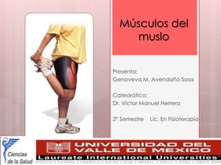 Músculos del
     muslo


Presenta:
Genoveva M. Avendaño Sosa

Catedrático:
Dr. Víctor Manuel Herrera

2° Semestre   Lic. En Fisioterapia
 