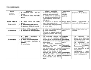 MÚSCULOS DEL PIE
GRUPO MÚSCULOS ORÍGEN E INSERCIÓN INERVACIÓN FUNCIÓN
DORSAL
 M. extensor corto de los
dedos
 M. extensor corto del dedo
grueso
 Se inician en el calcáneo y
retináculo de os extensores
 Se insertan entre los tendones
del flexor largo de los dedos (2-
4) y en la falange proximal del
dedo gordo.
Nervio
peróneo
profundo
Extensión de los dedos.
REGIÓN PLANTAR
Grupo medial
 M. flexor breve del dedo
grueso
 M. aductor del dedo grueso
 M. abductor del dedo grueso
 Se inician en los huesos del
tarso y los metatarsianos.
 Terminan en la falange proximal
del primer dedo.
Nervios plantar
medial y lateral
Flexión, acercamiento y
separación del dedo grueso.
Grupo lateral
 M. flexor del dedo pequeño
 M. abductor del dedo pequeño
 Se inician en el calcáneo y base
del quinto metatarsiano.
 Terminan en la parte lateral de
la falange proximal del quinto
dedo.
Nervio plantar
lateral
La acción que indican sus
nombres.
Grupo medio
 M. flexor accesorio o
cuadrado plantar
 M. flexor corto de los dedos
 M. interòseos plantares y
dorsales
 M. lumbricales
 Los músculos flexores se
inician en el calcáneo y
terminan en el borde lateral del
tendón del músculo flexor largo
de los dedos.
 Los músculos interóseos
dorsales son cuatro y los
palmares son tres.
 Los lumbricales son cuatro
pequeños músculos que se
inician en los bordes de los
tendones del músculo flexor
largo de los dedos y terminan
en la base de la falange
proximal de los cuatro últimos
dedos.
Cuadrado
plantar,
Interóseos-
Nervio plantar
lateral.
Flexor corto
de los dedos –
Nervio plantar
medial.
Lumbricales-
Nervios plantar
medial y lateral.
 Los interóseos son
flexores de los dedos, los
dorsales abductores y los
palmares aductores.
 Los lumbricales son
flexores de los dedos en
la articulación
metatarsofalángica y
como extensores en las
articulaciones
interfalángicas y están
inervados por los nervios
plantar medial y lateral.
 