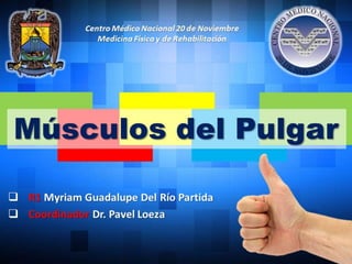  R1 Myriam Guadalupe Del Río Partida
 Coordinador Dr. Pavel Loeza
Centro Médico Nacional 20 de Noviembre
Medicina Física y de Rehabilitación
Músculos del Pulgar
 