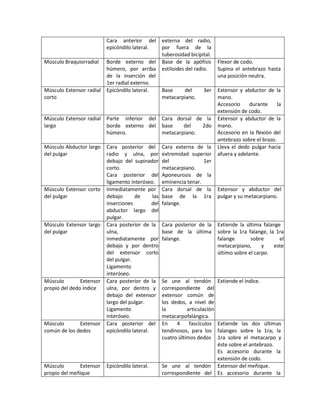 Cara anterior del
epicóndilo lateral.
externa del radio,
por fuera de la
tuberosidad bicipital.
Músculo Braquiorradial Borde externo del
húmero, por arriba
de la inserción del
1er radial externo.
Base de la apófisis
estiloides del radio.
Flexor de codo.
Supina el antebrazo hasta
una posición neutra.
Músculo Extensor radial
corto
Epicóndilo lateral. Base del 3er
metacarpiano.
Extensor y abductor de la
mano.
Accesorio durante la
extensión de codo.
Músculo Extensor radial
largo
Parte inferior del
borde externo del
húmero.
Cara dorsal de la
base del 2do
metacarpiano.
Extensor y abductor de la
mano.
Accesorio en la flexión del
antebrazo sobre el brazo.
Músculo Abductor largo
del pulgar
Cara posterior del
radio y ulna, por
debajo del supinador
corto.
Cara posterior del
ligamento interóseo.
Cara externa de la
extremidad superior
del 1er
metacarpiano.
Aponeurosis de la
eminencia tenar.
Lleva el dedo pulgar hacia
afuera y adelante.
Músculo Extensor corto
del pulgar
Inmediatamente por
debajo de las
inserciones del
abductor largo del
pulgar.
Cara dorsal de la
base de la 1ra
falange.
Extensor y abductor del
pulgar y su metacarpiano.
Músculo Extensor largo
del pulgar
Cara posterior de la
ulna,
inmediatamente por
debajo y por dentro
del extensor corto
del pulgar.
Ligamento
interóseo.
Cara posterior de la
base de la última
falange.
Extiende la última falange
sobre la 1ra falange, la 1ra
falange sobre el
metacarpiano, y este
último sobre el carpo.
Músculo Extensor
propio del dedo índice
Cara posterior de la
ulna, por dentro y
debajo del extensor
largo del pulgar.
Ligamento
interóseo.
Se une al tendón
correspondiente del
extensor común de
los dedos, a nivel de
la articulación
metacarpofalángica.
Extiende el índice.
Músculo Extensor
común de los dedos
Cara posterior del
epicóndilo lateral.
En 4 fascículos
tendinosos, para los
cuatro últimos dedos
Extiende las dos últimas
falanges sobre la 1ra; la
1ra sobre el metacarpo y
éste sobre el antebrazo.
Es accesorio durante la
extensión de codo.
Músculo Extensor
propio del meñique
Epicóndilo lateral. Se une al tendón
correspondiente del
Extensor del meñique.
Es accesorio durante la
 