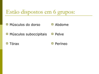 Estão dispostos em 6 grupos:
   Músculos do dorso           Abdome

   Músculos suboccipitais      Pelve

   Tórax                       Períneo
 