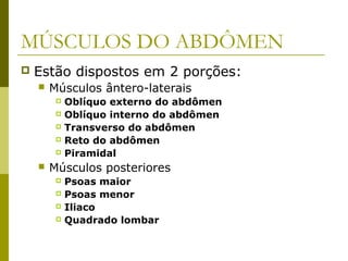 MÚSCULOS DO ABDÔMEN
   Estão dispostos em 2 porções:
       Músculos ântero-laterais
          Oblíquo externo do abdômen
          Oblíquo interno do abdômen

          Transverso do abdômen

          Reto do abdômen

          Piramidal

       Músculos posteriores
          Psoas maior
          Psoas menor

          Iliaco

          Quadrado lombar
 