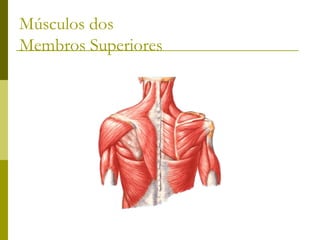 Músculos dos
Membros Superiores
 