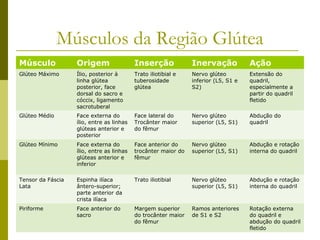 Músculos da Região Glútea
Músculo            Origem                  Inserção             Inervação            Ação
Glúteo Máximo      Ílio, posterior à       Trato iliotibial e   Nervo glúteo         Extensão do
                   linha glútea            tuberosidade         inferior (L5, S1 e   quadril,
                   posterior, face         glútea               S2)                  especialmente a
                   dorsal do sacro e                                                 partir do quadril
                   cóccix, ligamento                                                 fletido
                   sacrotuberal
Glúteo Médio       Face externa do         Face lateral do      Nervo glúteo         Abdução do
                   ílio, entre as linhas   Trocânter maior      superior (L5, S1)    quadril
                   glúteas anterior e      do fêmur
                   posterior
Glúteo Mínimo      Face externa do         Face anterior do     Nervo glúteo         Abdução e rotação
                   ílio, entre as linhas   trocânter maior do   superior (L5, S1)    interna do quadril
                   glúteas anterior e      fêmur
                   inferior

Tensor da Fáscia   Espinha ilíaca          Trato iliotibial     Nervo glúteo         Abdução e rotação
Lata               ântero-superior;                             superior (L5, S1)    interna do quadril
                   parte anterior da
                   crista ilíaca
Piriforme          Face anterior do        Margem superior      Ramos anteriores     Rotação externa
                   sacro                   do trocânter maior   de S1 e S2           do quadril e
                                           do fêmur                                  abdução do quadril
                                                                                     fletido
 