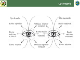 Optometría
 