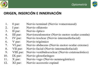 Optometría
ORIGEN, INSERCIÓN E INNERVACIÓN
 