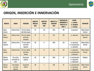 Optometría
ORIGEN, INSERCIÓN E INNERVACIÓN
 