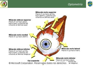Optometría
 