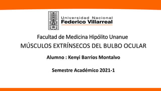 Facultad de Medicina Hipólito Unanue
MÚSCULOS EXTRÍNSECOS DEL BULBO OCULAR
Alumno : Kenyi Barrios Montalvo
Semestre Académico 2021-1
 