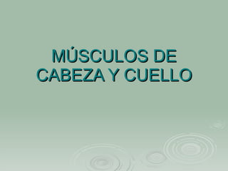 MÚSCULOS DE CABEZA Y CUELLO 